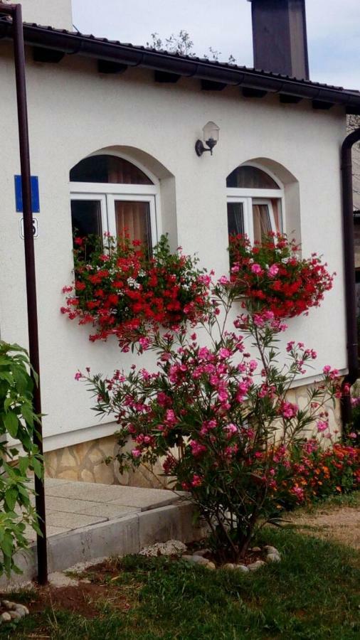 Apartments Zegarac House كورينيتسا المظهر الخارجي الصورة
